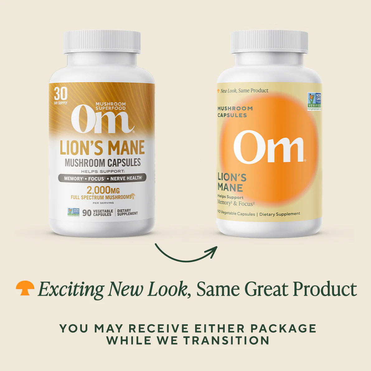 OM Lion's Mane